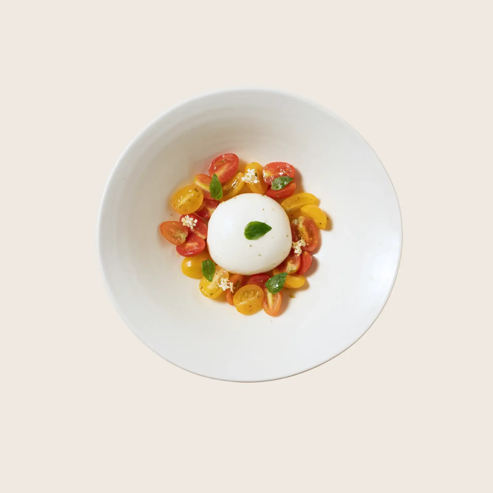 Burrata Tomato Salad